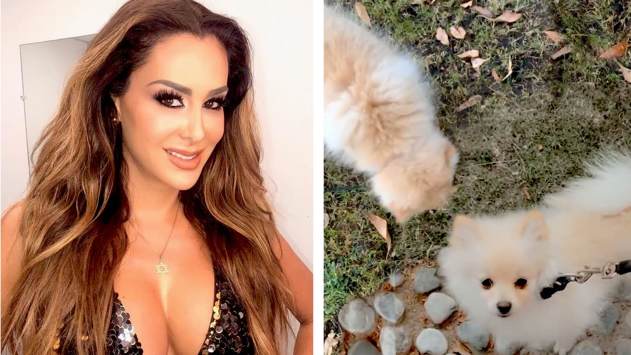 También aclaró que nunca planeó ni se ilusionó con la idea de que Ninel Conde fuera madre de sus hijos: "No le hubiera encargado ni mis perritos. Definitivamente no".