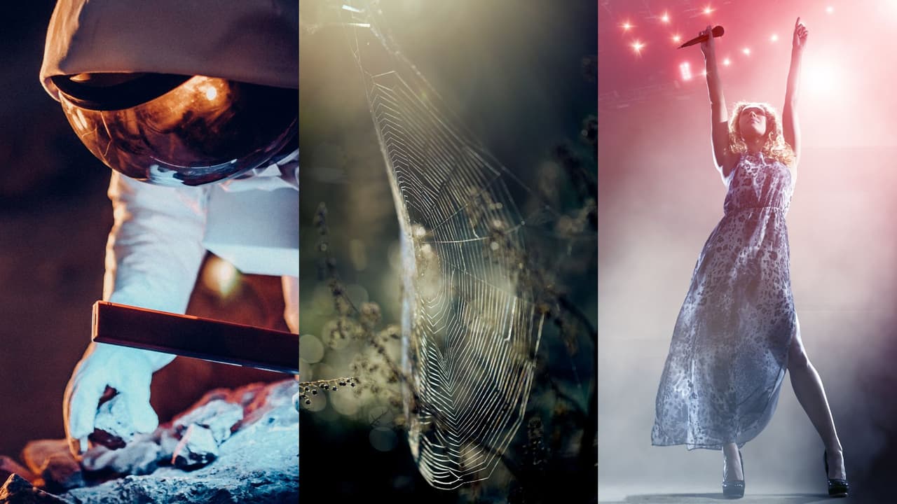 Retrospectiva: Estos son los 7 temas que fueron tendencia en 2023