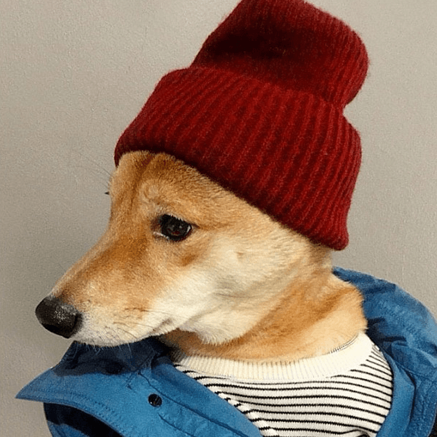 ¿A poco no es un encanto?