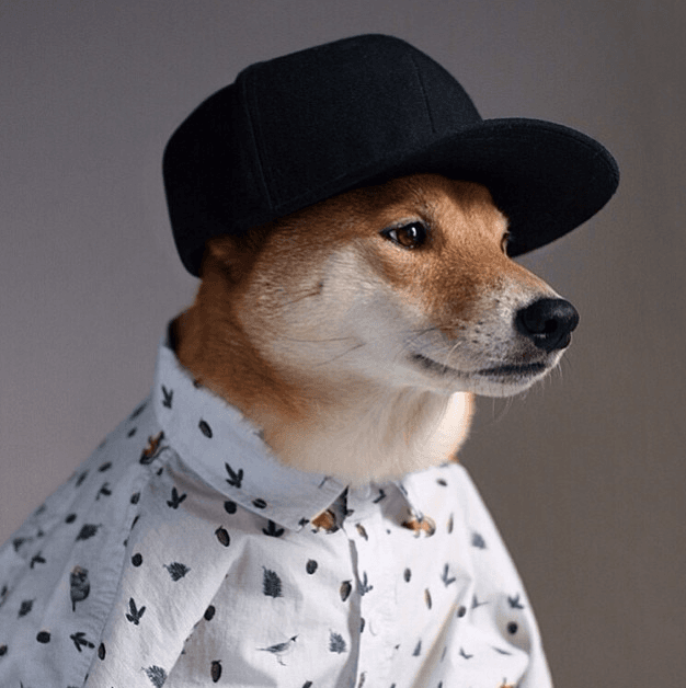 Pero siempre tiene el atuendo perfecto para estar al último grito de la moda.