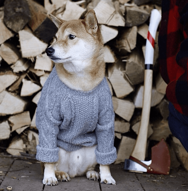 Tiene un gran encanto natural.