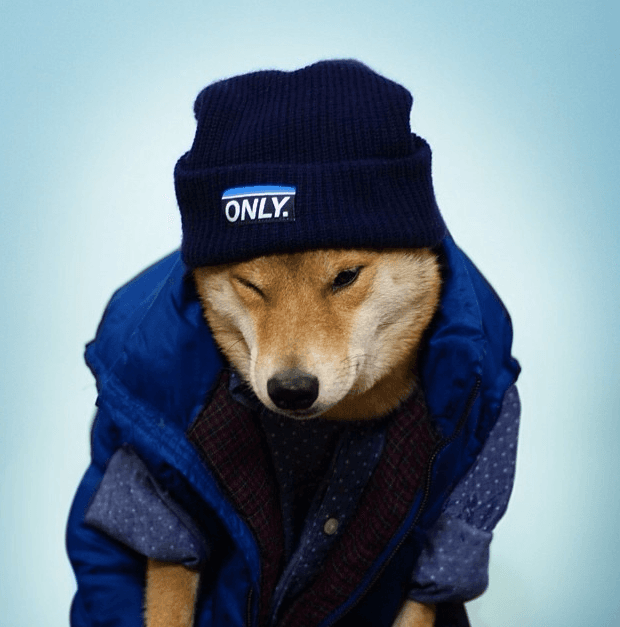 También lucir un poco desenfadado...