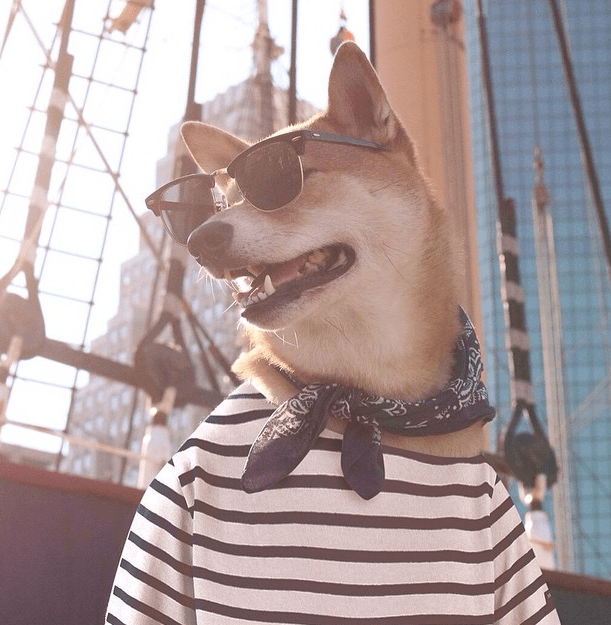 Es tan famoso que hasta es imagen de las mejores marcas de ropa y accesorios para hombre.