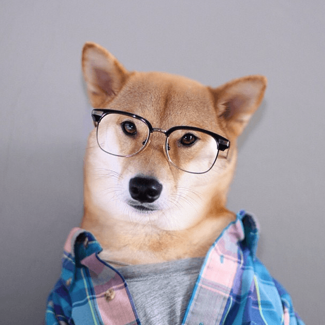 Bodhi llega a ganar mensualmente hasta $15,000 dólares como modelo.