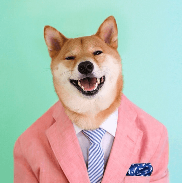 Cuenta con su propio libro llamado “Menswear Dog presenta: Los nuevos clásicos”.