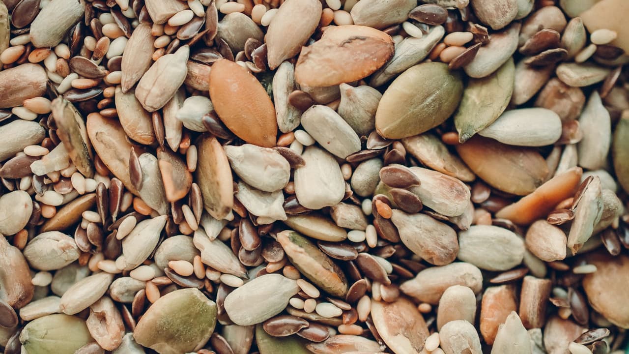 <h2 class="cms-H2-H2">Semillas, bulbos, esquejes, yemas, estacas</h2>
<br>De igual modo, las autoridades del Servicio Nacional de Sanidad, Inocuidad y Calidad Agroalimentaria no te permitirán ingresar con semillas. Este instituto, conocido como Senasica, está encargado de regularizar estas prohibiciones.