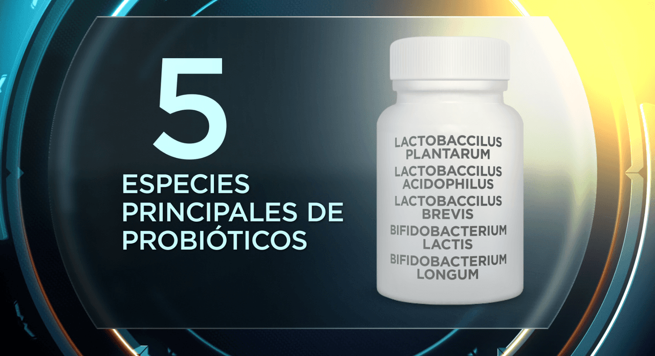 Los prebióticos y probióticos que debe conocer