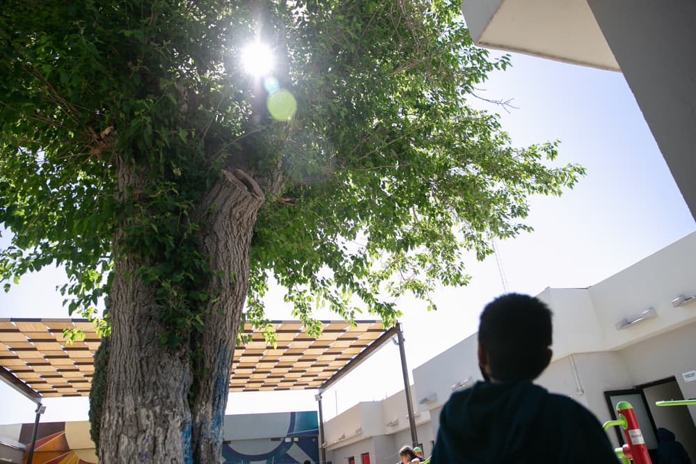 El tiempo promedio que los menores duran en este albergue es variable. Si son mexicanos, sus casos pueden resolverse entre uno y siete días. 
<b>Los extranjeros pueden pasar hasta tres semanas.</b> Quienes quieren pedir refugio en México permanecen allí hasta que cumplen los 18 años. Todos los casos son evaluados individualmente.