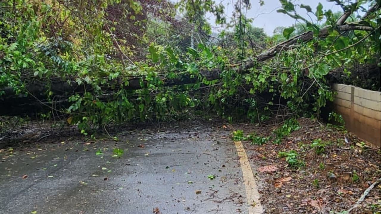 Pierluisi dijo que se mantiene en comunicación con los jefes del Departamento de Seguridad Pública y del Negociado de Manejo de Emergencias y Administración de Desastres "para asegurar que las necesidades del pueblo están siendo atendidas".
<br>