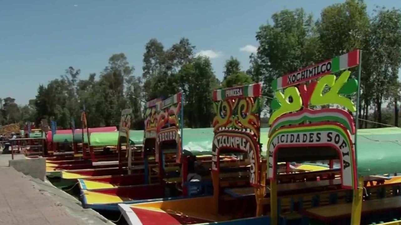Turistas desnudos en trajineras de Xochimilco generan debate y posible sanción en México