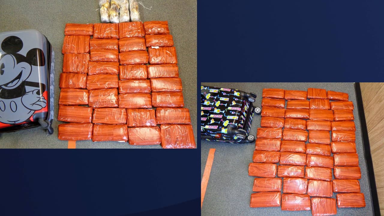 Durante la parada de tráfico, el agente encontró 130 libras de metanfetamina en el auto.