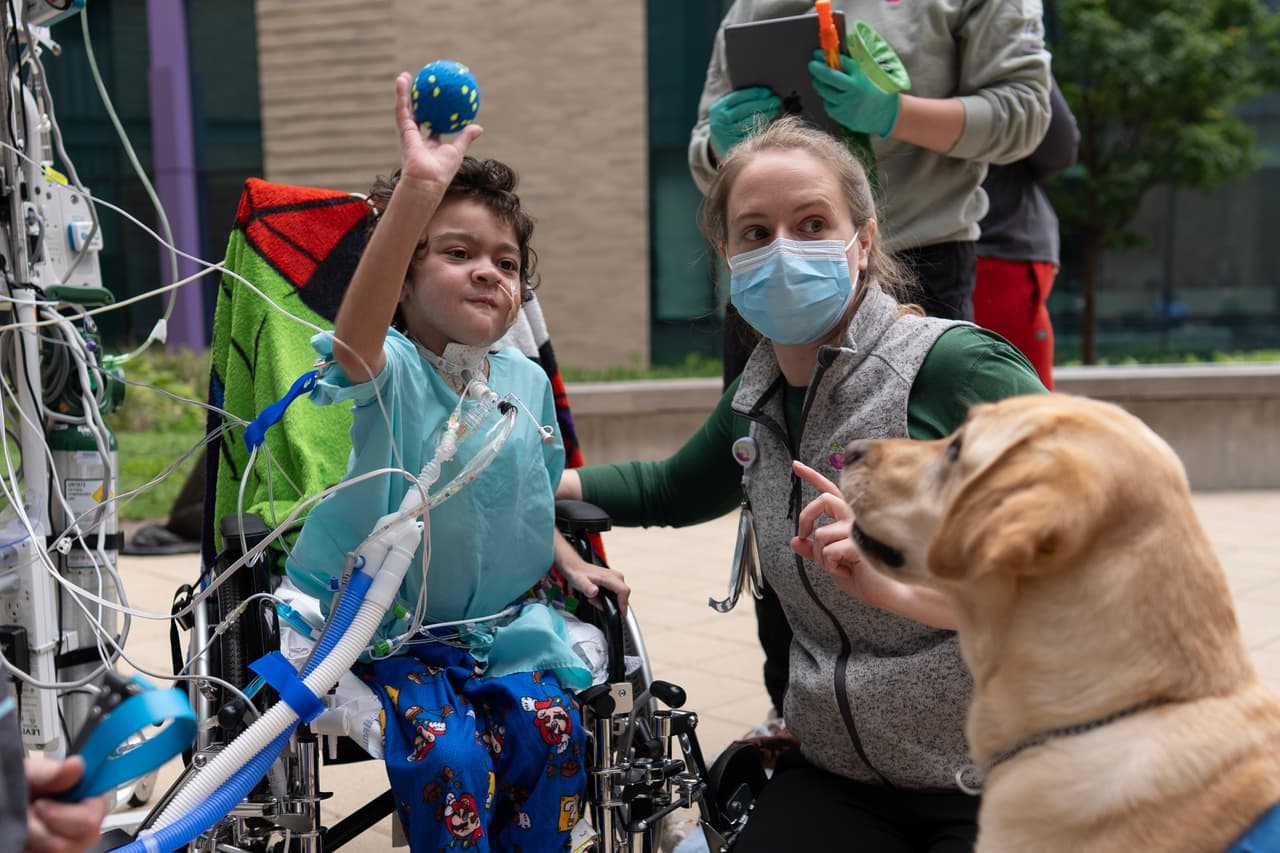 Hospitales infantiles recurren a cuidadores peludos para ayudar a los niños a recuperarse