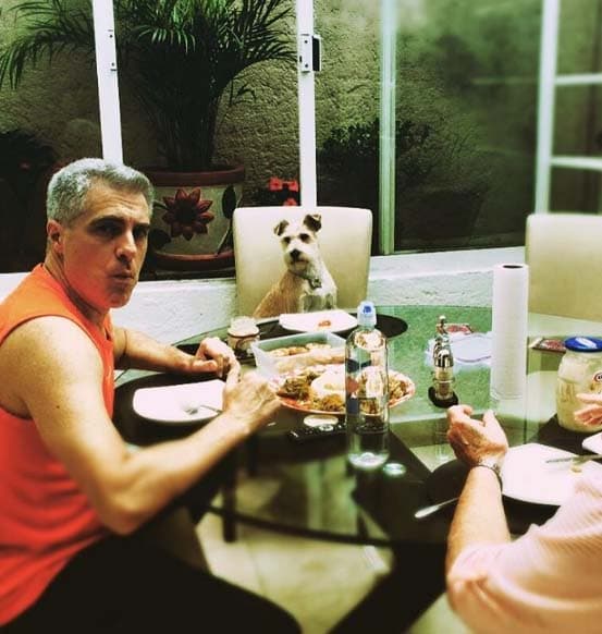 Rocky es visto como un miembro más de la familia y por eso tiene el derecho de comer en la mesa.