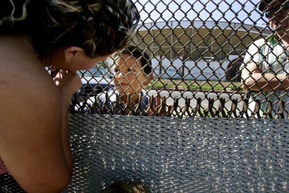 "La niñez migrante (...) sufre graves violaciones de sus derechos humanos y necesitan protección urgente", informó a través de un comunicado la organización internacional.