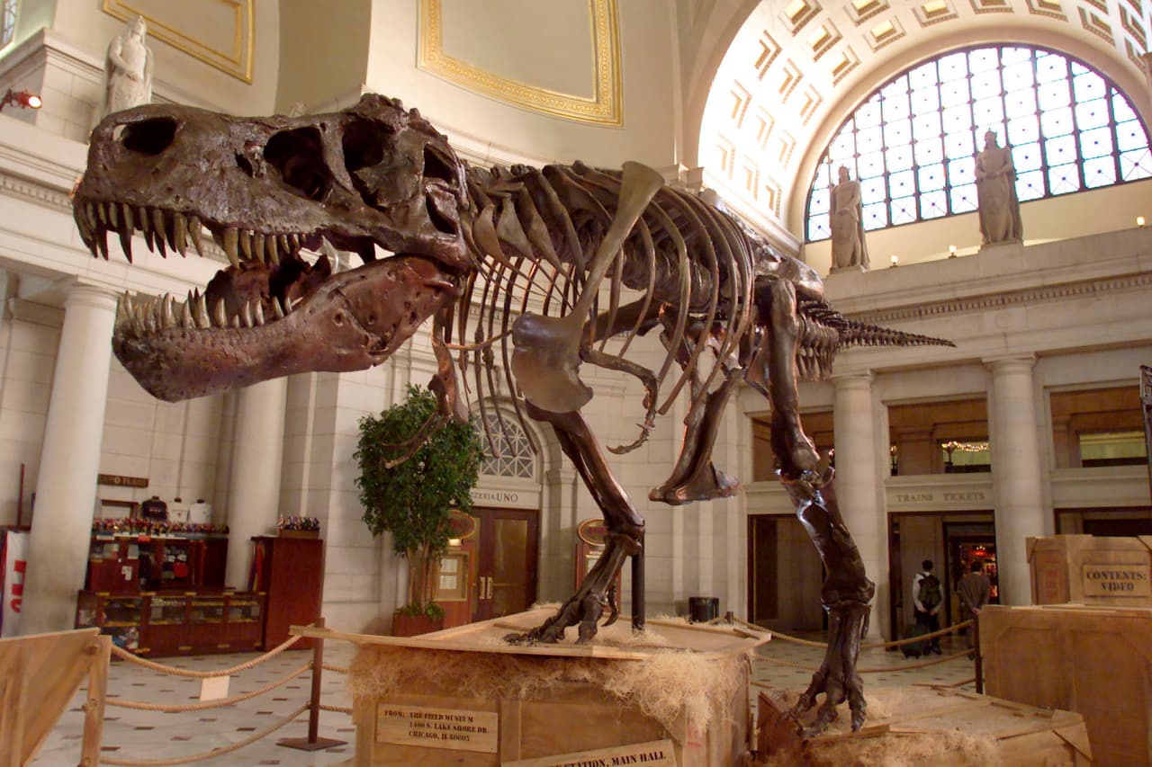 <b>Días gratis de museo de Chicago</b>
<br>El Field Museum, Planetario Adler, Jardín Botánico de Chicago, tienes algunos días de
<b> <a href="https://www.univision.com/local/chicago-wgbo/estos-son-los-dias-con-entrada-gratis-a-museos-de-chicago-este-verano-fotos" target="_blank">entrada y gratis</a></b>. Tu y tu familia pueden pasarse las vacaciones aprendiendo y ahorrando dinero durante las vacaiones.