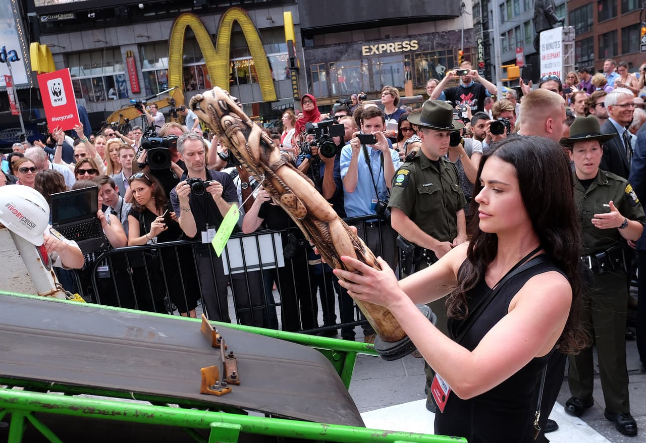 Cientos de personas se concentraron en Times Square para presenciar la destrucción de las piezas hechas de marfil.