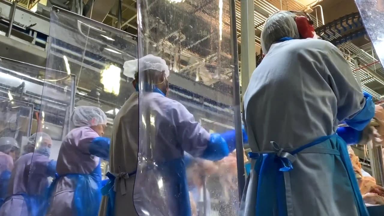 María Gómez, vicepresidenta del Distrito Escolar de la Comunidad de Columbus, recientemente visitó la planta de Tyson para ver las medidas de seguridad que la companía ha implementado, como las cámaras termográficas en la entrada cuyo objetivo es comprobar la temperatura de los trabajadores. Se erigieron también dos grandes carpas para expandir el área de descanso. La compañía aumentó la distancia entre los microondas en los comedores.