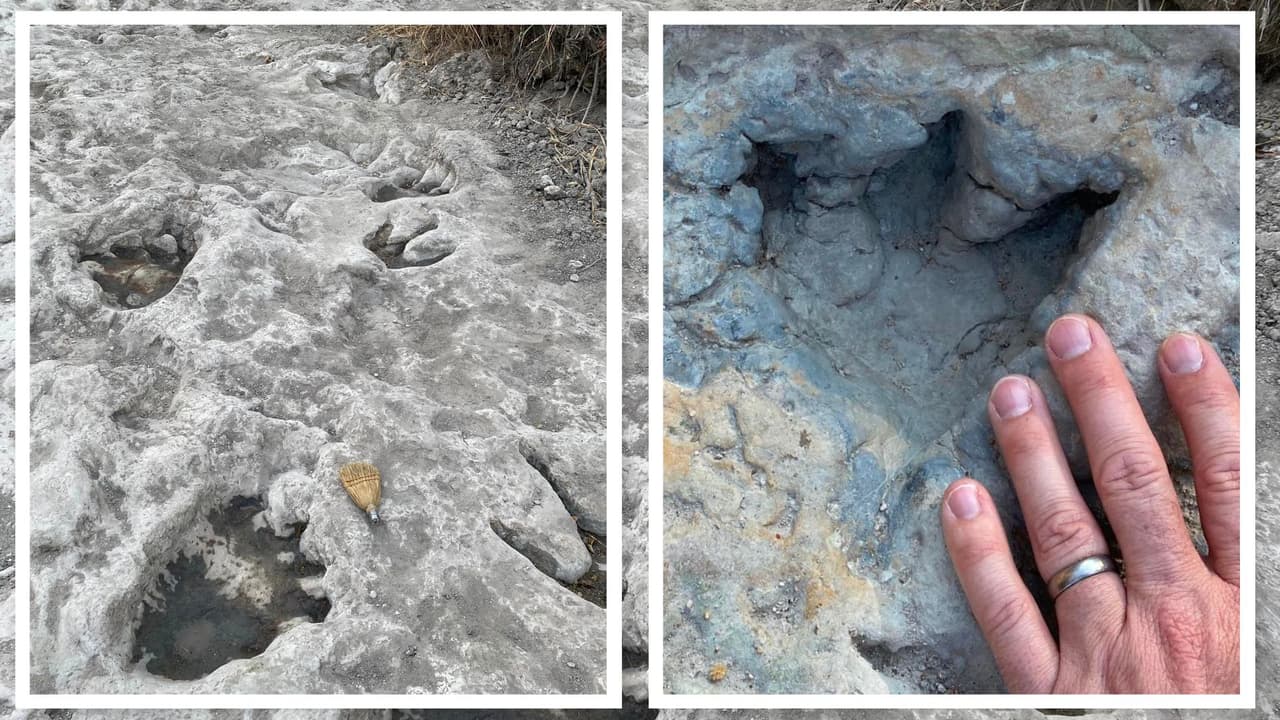 Encuentran huellas de dinosaurios con más de 110 millones de años, gracias a la sequía en Texas