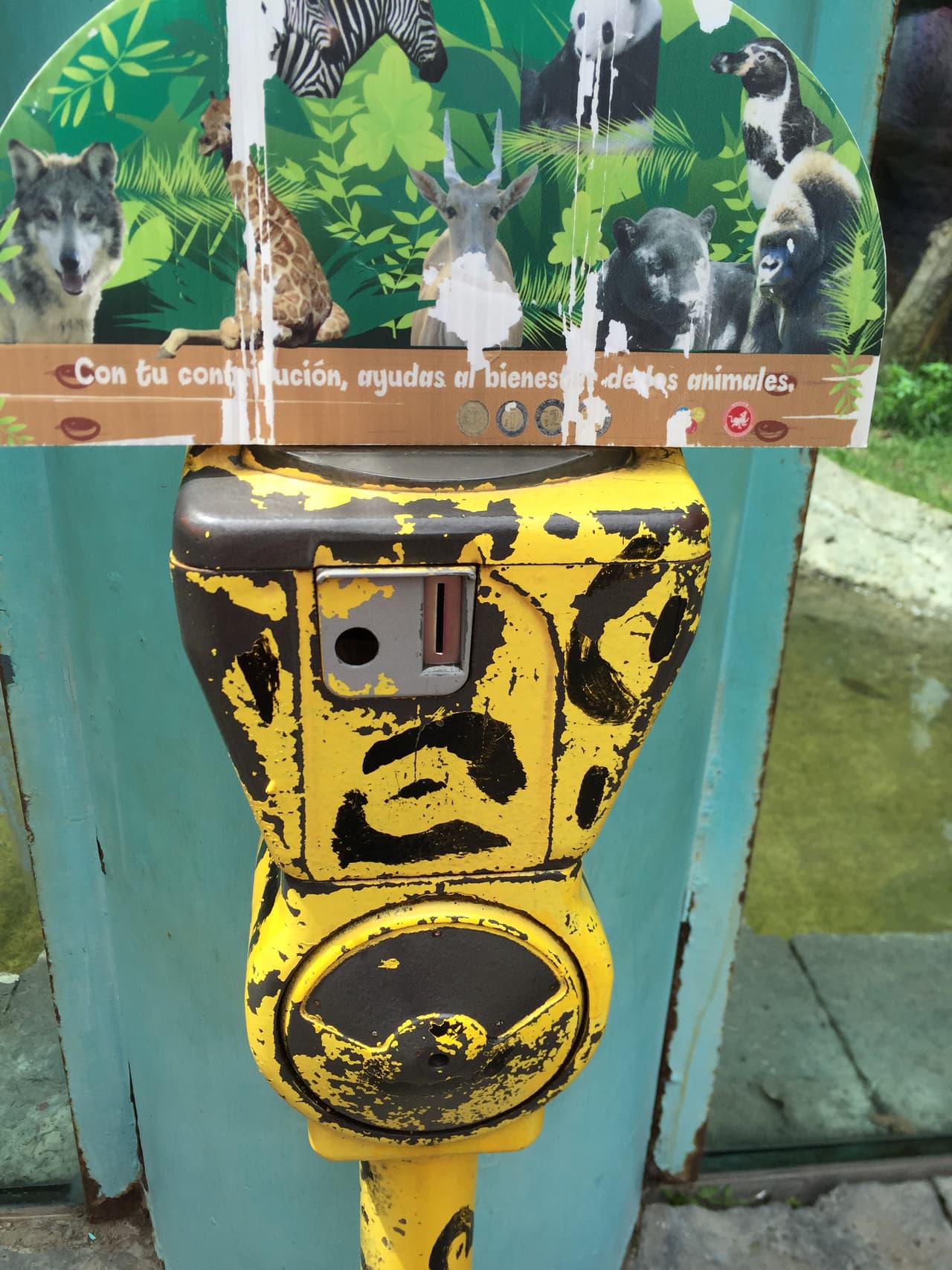 Las condiciones de llamadas "limosneras", que buscan donativos en monedas, aseguran que para el beneficio de los animales.