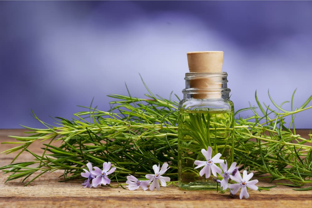 Te vamos a contar hoy de una planta muy peculiar desde su nombre: la cola de caballo. Ese es el nombre común por el que se le conoce, aunque en realidad es la
<b><i>Equisetum arvense, </i></b>o también Equiseto. Es un arbusto que se ha dado en el planeta desde hace milenios, y que también tiene unos usos en el esoterismo muy interesantes.