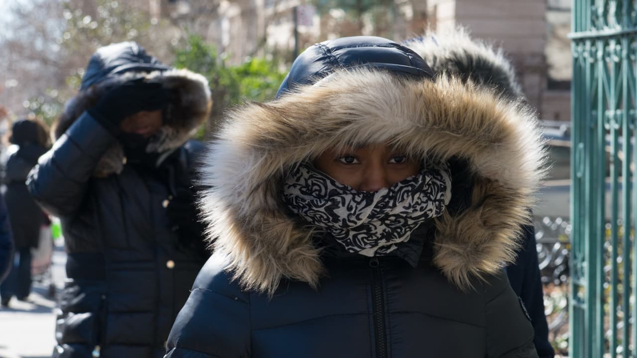 Los meteorólogos lo advierten: este jueves será uno de los días de Acción de Gracias más fríos de la historia