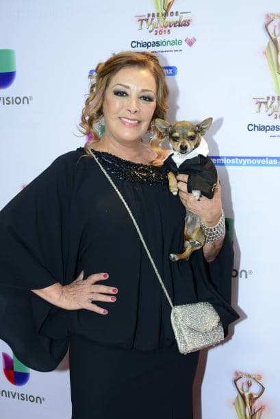 Los dos vistieron muy elegantes, ¿a poco no?