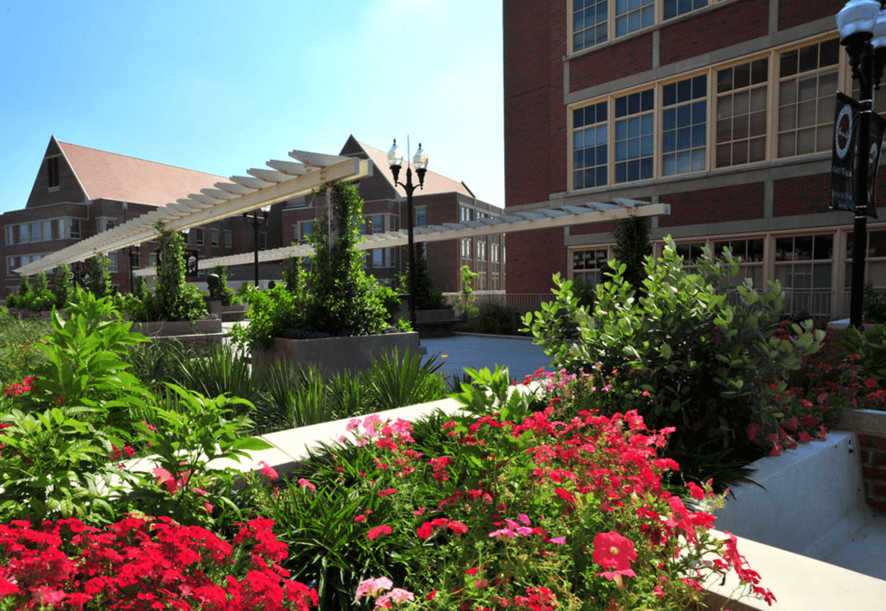 La Universidad Estatal de Florida, en Tallahassee, si bien ocupa la posición 190 de la lista entre las mejores del mundo, es la mejor institución del estado.