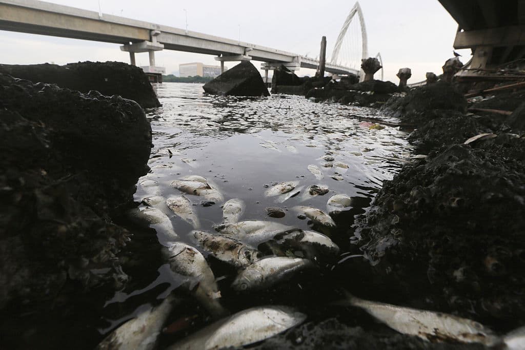 Detectan la superbacteria resistente a antibióticos en aguas donde competirán deportistas en los Juegos de Brasil