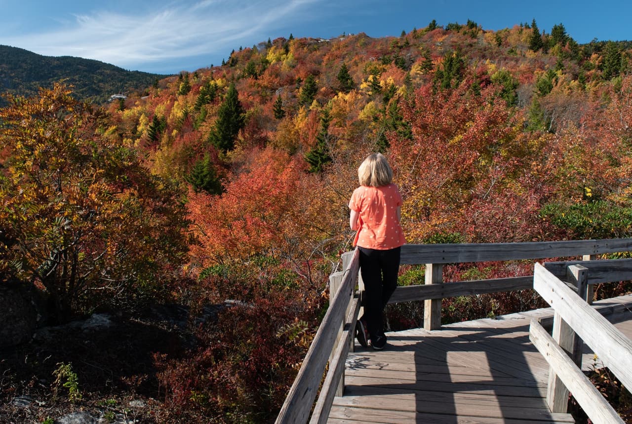 <b>Relacionado</b>: Conoce las mejores fechas para ver el follaje de otoño en Carolina del Norte, 
<b><a href="https://www.univision.com/local/north-carolina-wuvc/mejores-fechas-ver-follaje-otono-carolina-del-norte-fotos" target="_blank">aquí. </a></b>