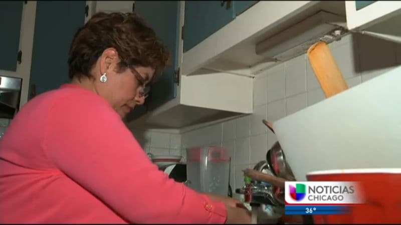 Posponen votación de propuesta que protegería a trabajadoras domésticas de Illinois