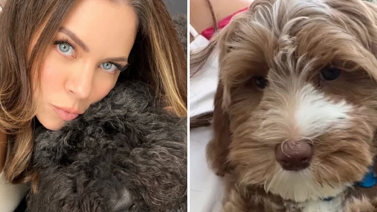 Ximena Duque revela por qué prefiere comprar perros que adoptarlos a pesar de las críticas