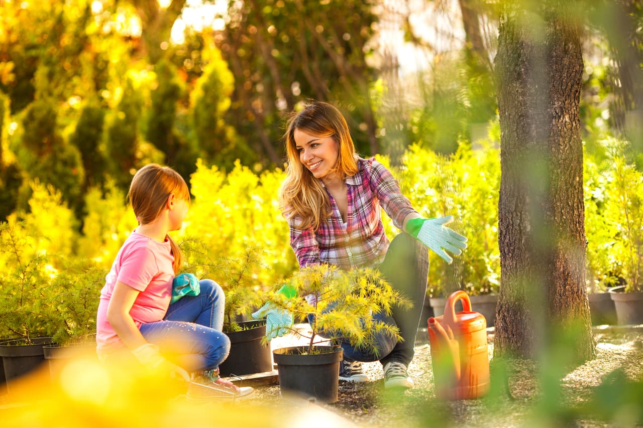 Comienza un jardin o planta flores. Es una buena actividad para estar afuera y coger un poco de sol después de estar en casa tanto tiempo. Esta actividad también se puede convertir en una clase de ciencia explicándole a tus hijos como funcionan las plantes y enseñándoles sobre la fotosíntesis.