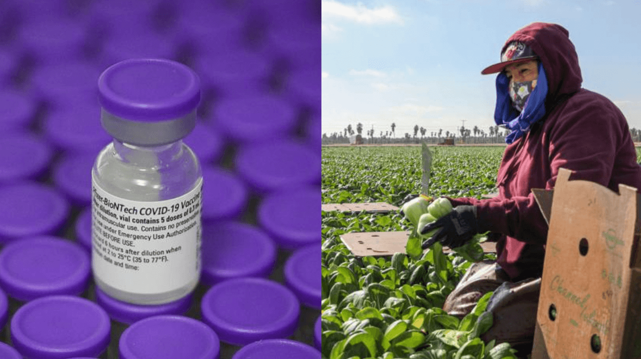 Talleres informativos sobre la vacuna contra Covid-19 para trabajadores agrícolas del Valle Central  