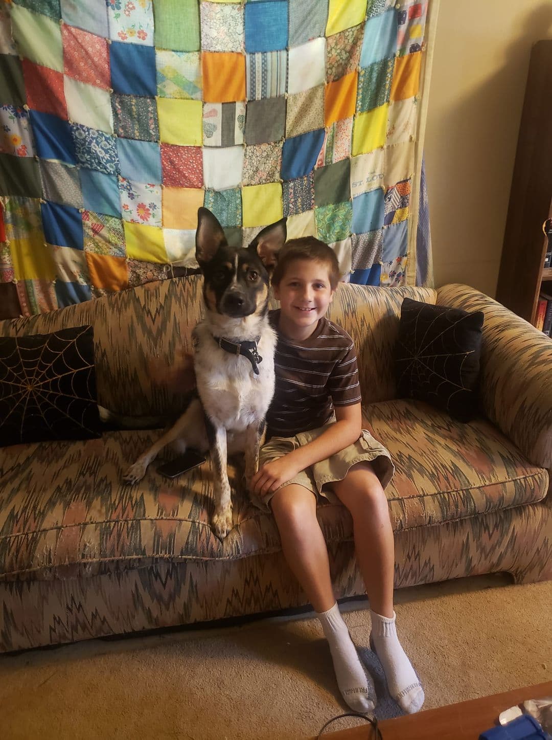 "Freya terminó escapando del camión y corriendo hacia el bosque. Por favor, reza para que la encontremos a salvo", compartió Amanda Maddox.