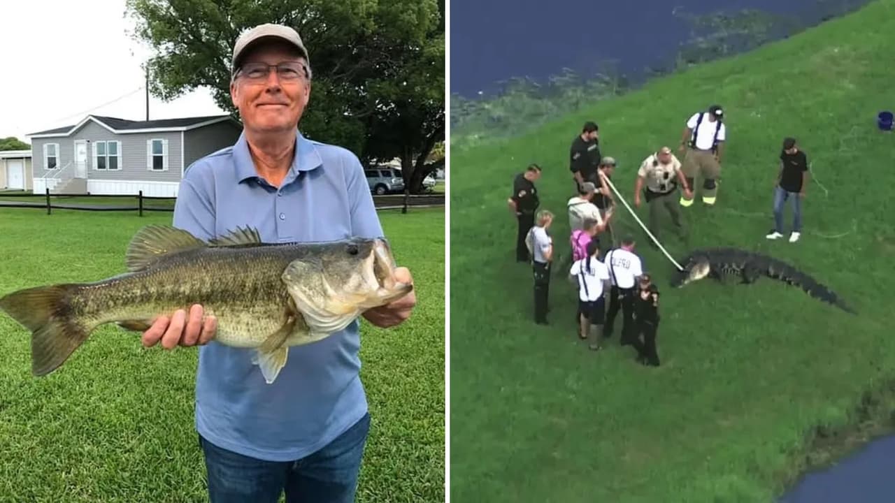 Quería fotografiarse con un pez y un caimán de 12 pies lo atacó: revelan detalles de la muerte de pescador de 71 años