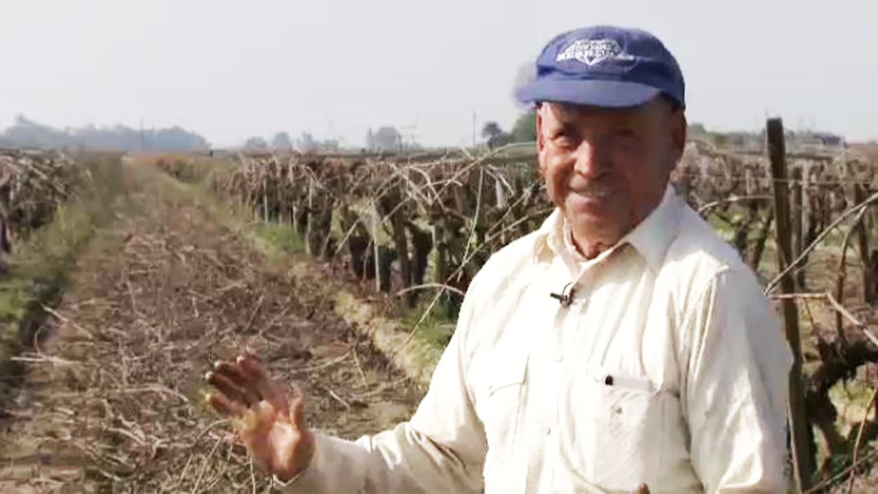 "Mientras pueda seguiré trabajando": campesino de 78 años, a quien la energía le sobra