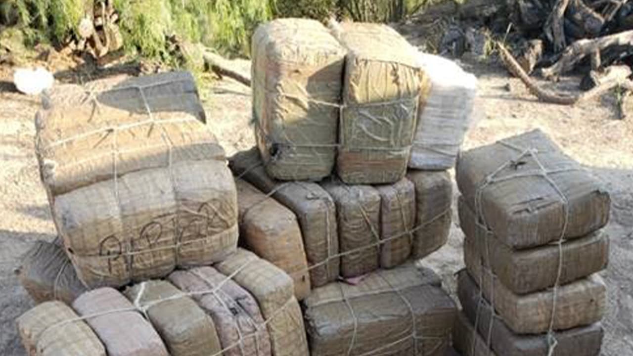 Incautan cargamentos de marihuana con un valor de $2,000,000 en la frontera con Texas