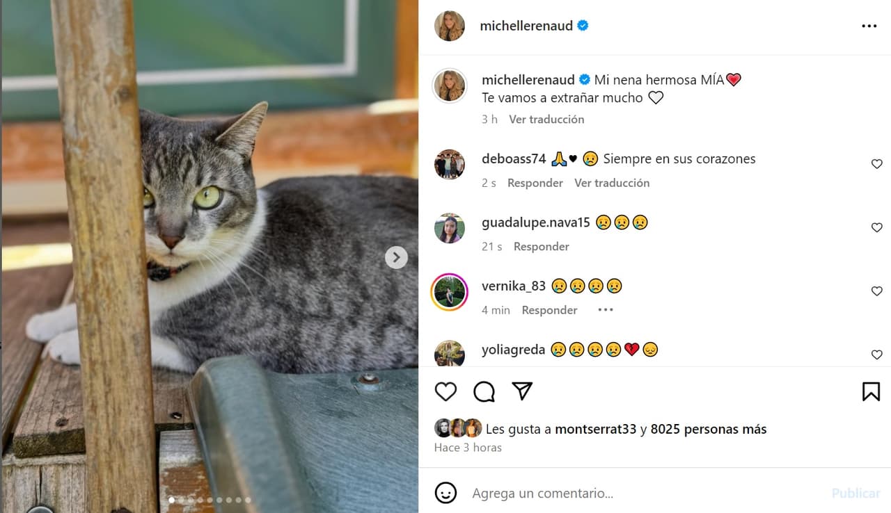 Michelle Renaud está de luto y así se despide