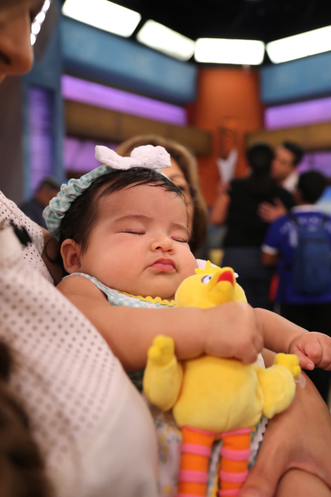 ¡A Baby Giulietta le encanta dormir! y más si es con Big Bird.