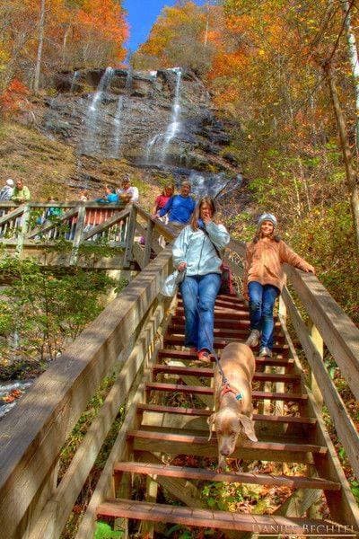 Para un desafío más difícil, puedes empezar desde la base de las cataratas y subir por la empinada escalera.