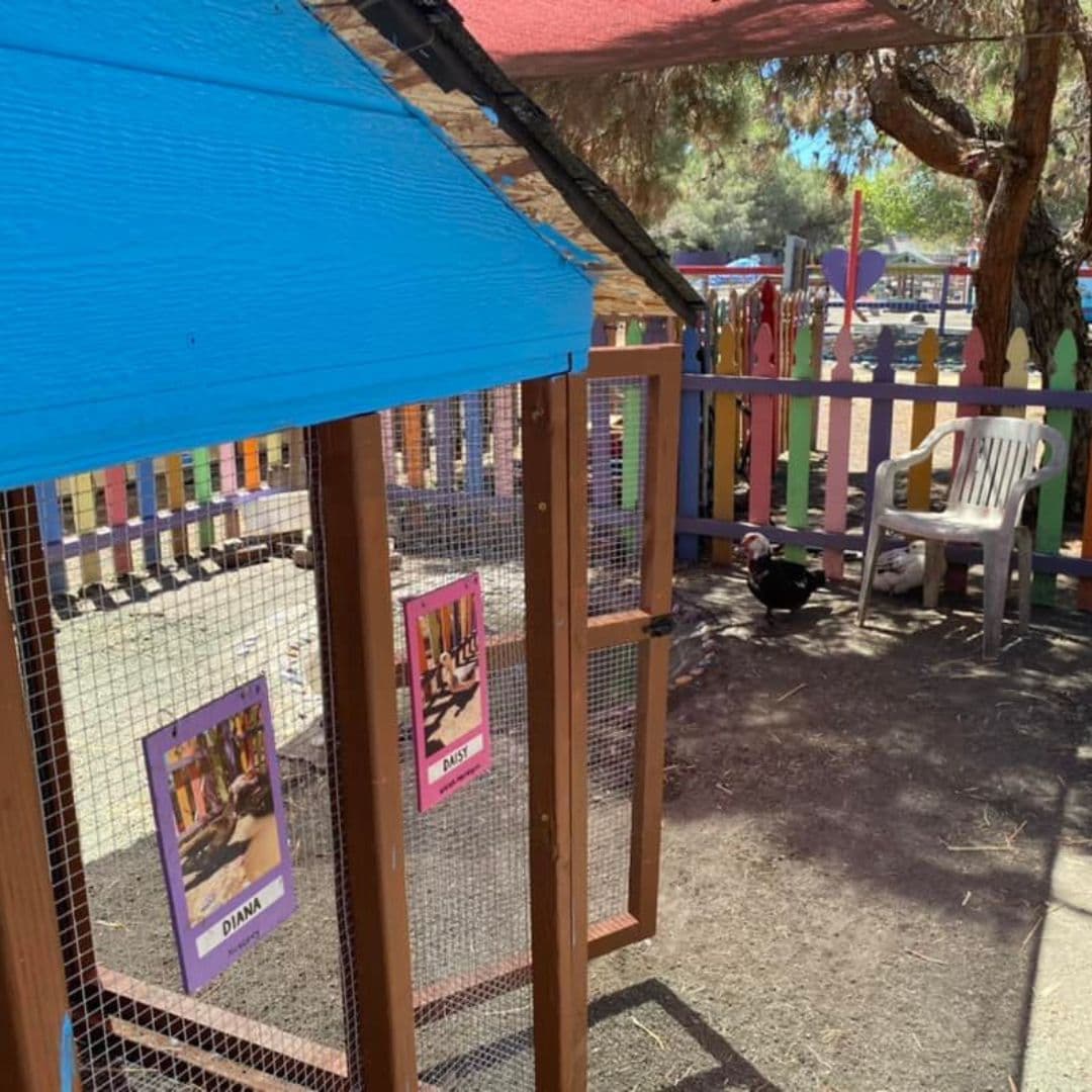 El lugar es extravagante, pues hay piedras pintadas que marcan los caminos a través de la propiedad, hasta hongos de lunares rojos cerca de un bebedero para pájaros. 
<br>