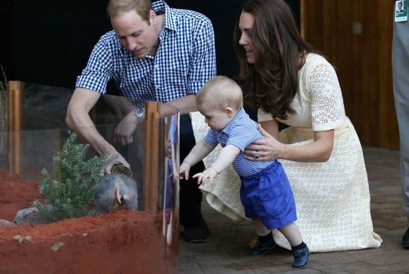 Se sorprendían y emocionaban igual que el bebé, quien apenas cuenta con ocho meses de edad.