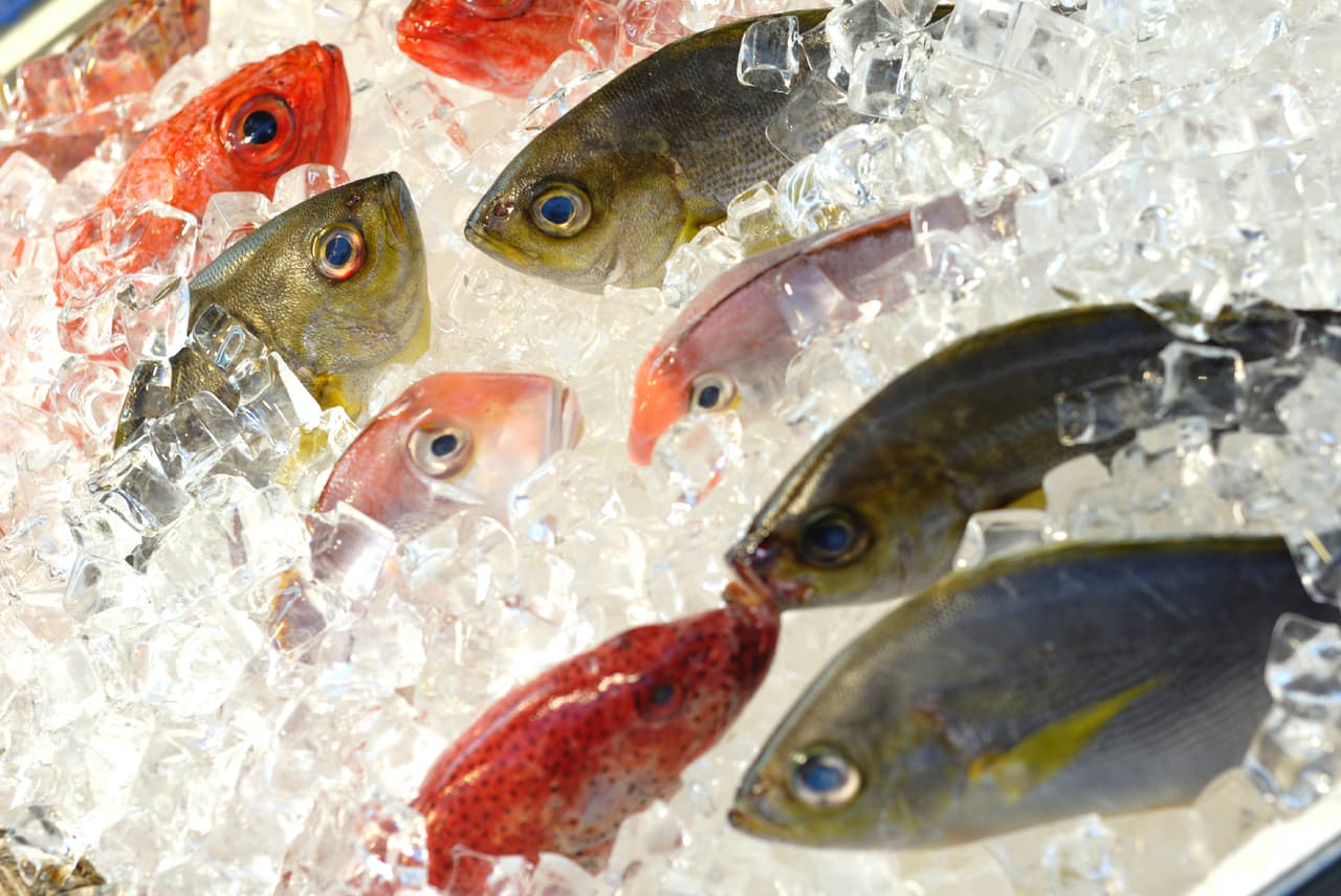 El pescado, las semillas y las verduras, son alimentos ricos en ácidos grasos Omega 3, nutriente esencial para mejorar el rendimiento mental, la memoria, la concentración y la agudeza visual.