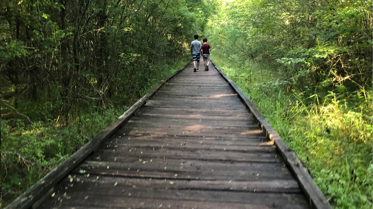 Adentrarse en la naturaleza es uno de los elementos principales del parque.