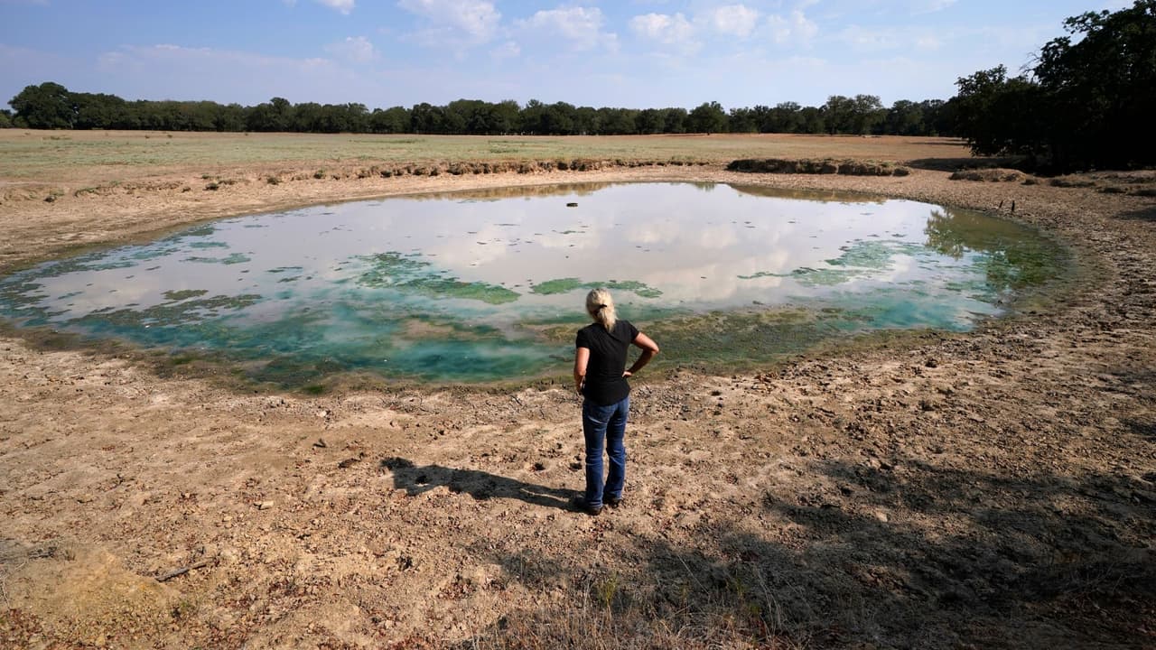 Gilda Jackson inspecciona una zona en su granja que se ha secado y ha bajado unos metros debido a las condiciones de sequía que afectan a la región y a su propiedad en Paradise, Texas, el lunes 21 de agosto de 2023.
