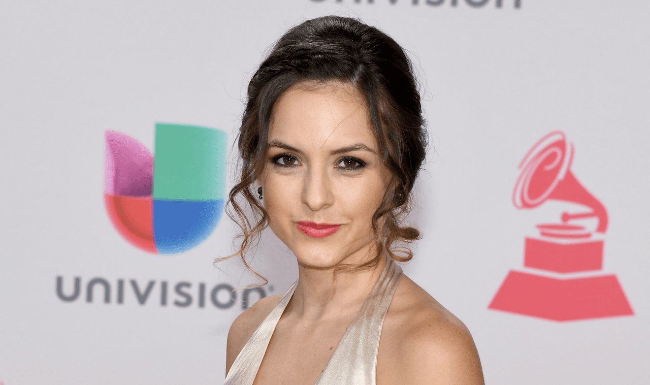 La actriz Natalia Ramírez con maquillaje muy suave, labios suaves en color coral y mechones despeinados en su recogido que daban un toque muy natural a su look.