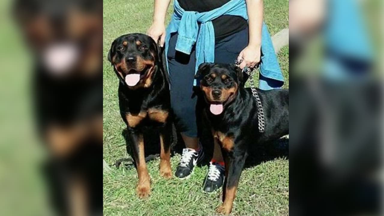 "Ellos son mis Niños .. Killer y Washa". Betty García Gza