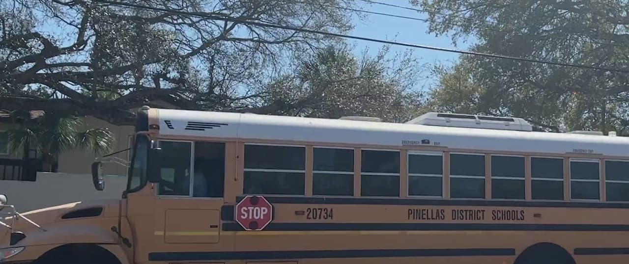 "Los maestros son el ejemplo a seguir": padres preocupados por el arresto de una maestra de Tampa por DUI