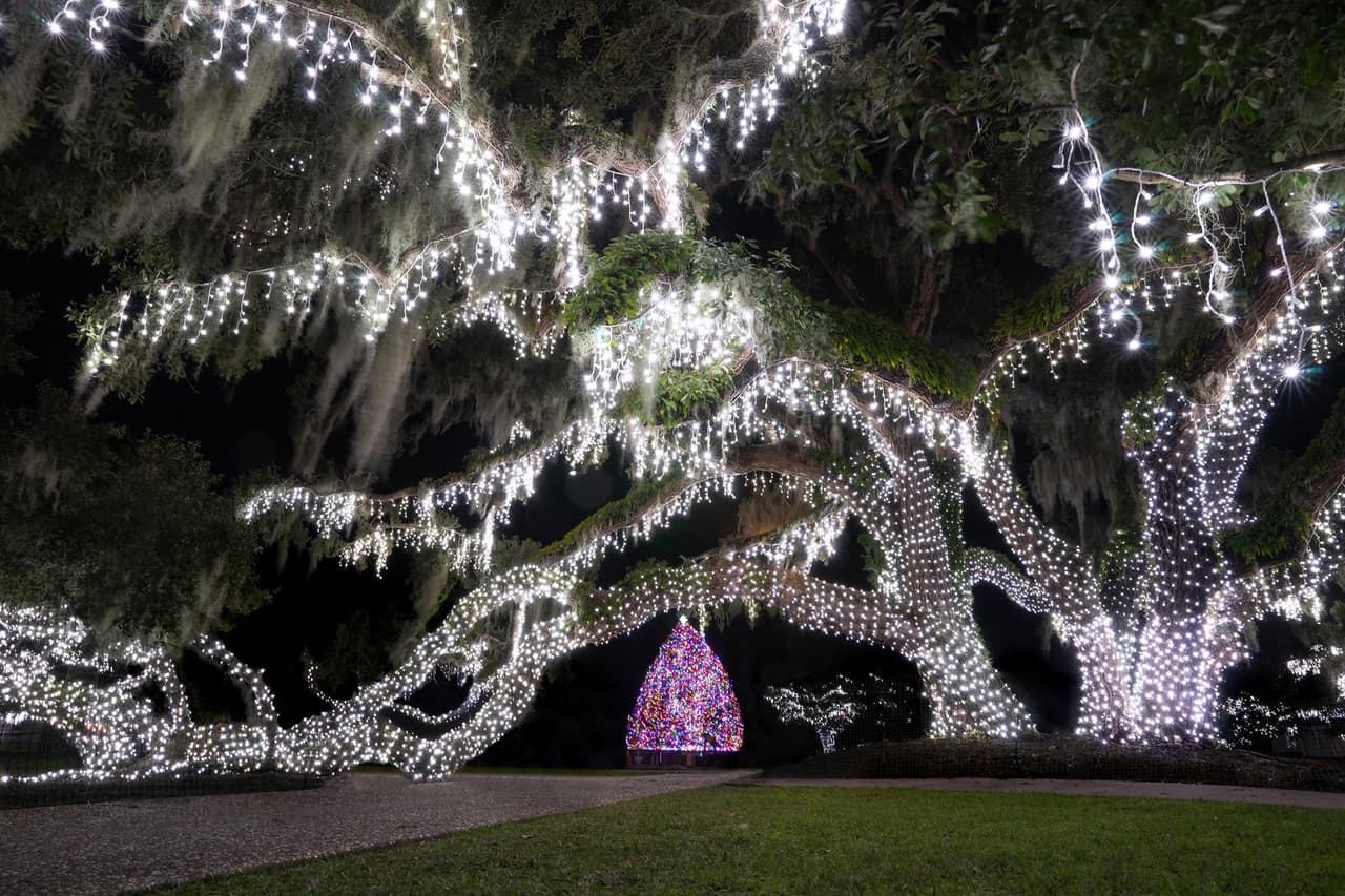 Jekyll Island ha reinventado sus festividades navideñas para garantizar que las familias se sientan seguras mientras disfrutan del espíritu de la temporada.