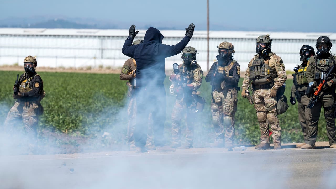 El DHS confirmó que más de 200 personas fueron detenidas en 
<b>operativos simultáneos en Glass House Farms</b>, donde también se rescataron menores migrantes en riesgo de explotación laboral.